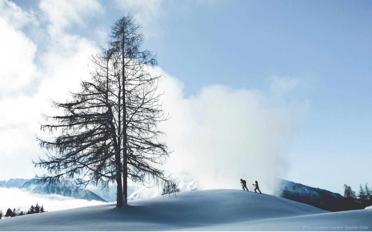 Das Valdo Apartamento Seefeld in Tirol Exterior foto